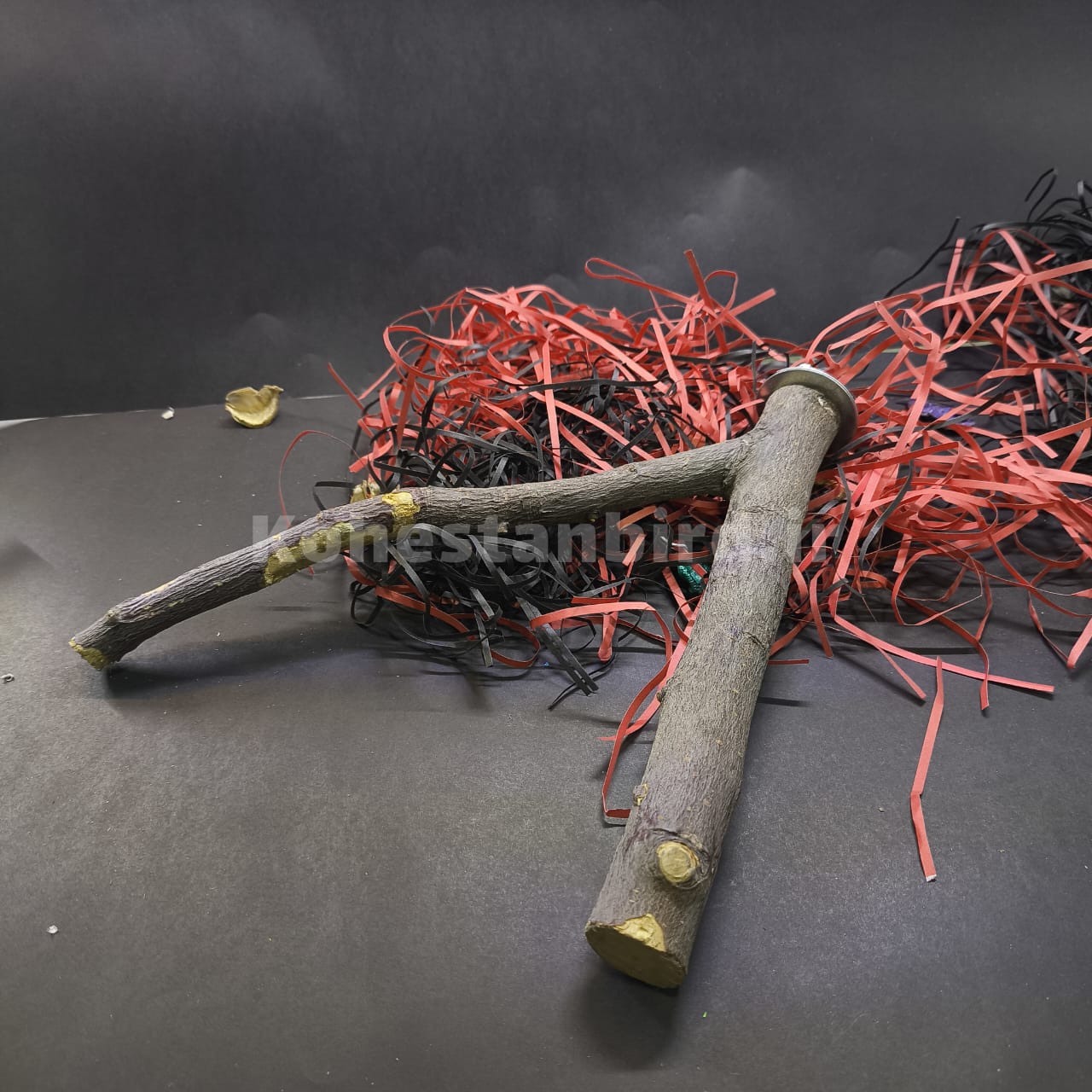 نشیمن دو شاخه