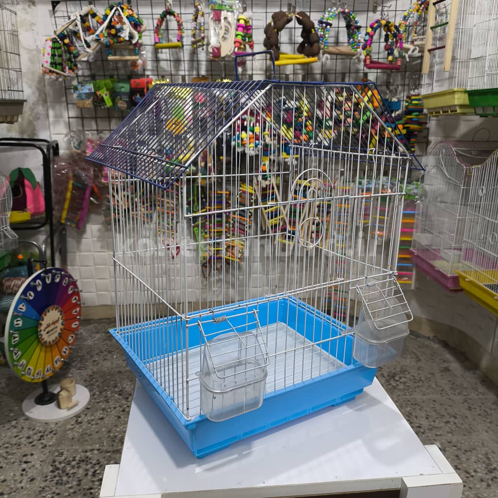 کد ۳ حمل پرنده