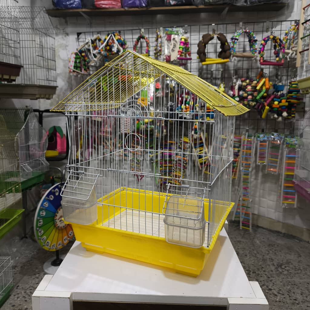 کد ۴ حمل پرنده