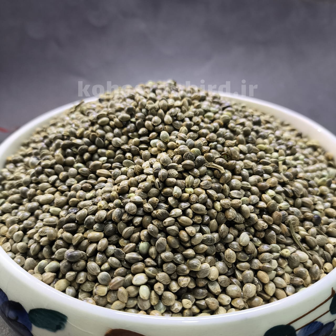 شاهدانه درشت کبوتری