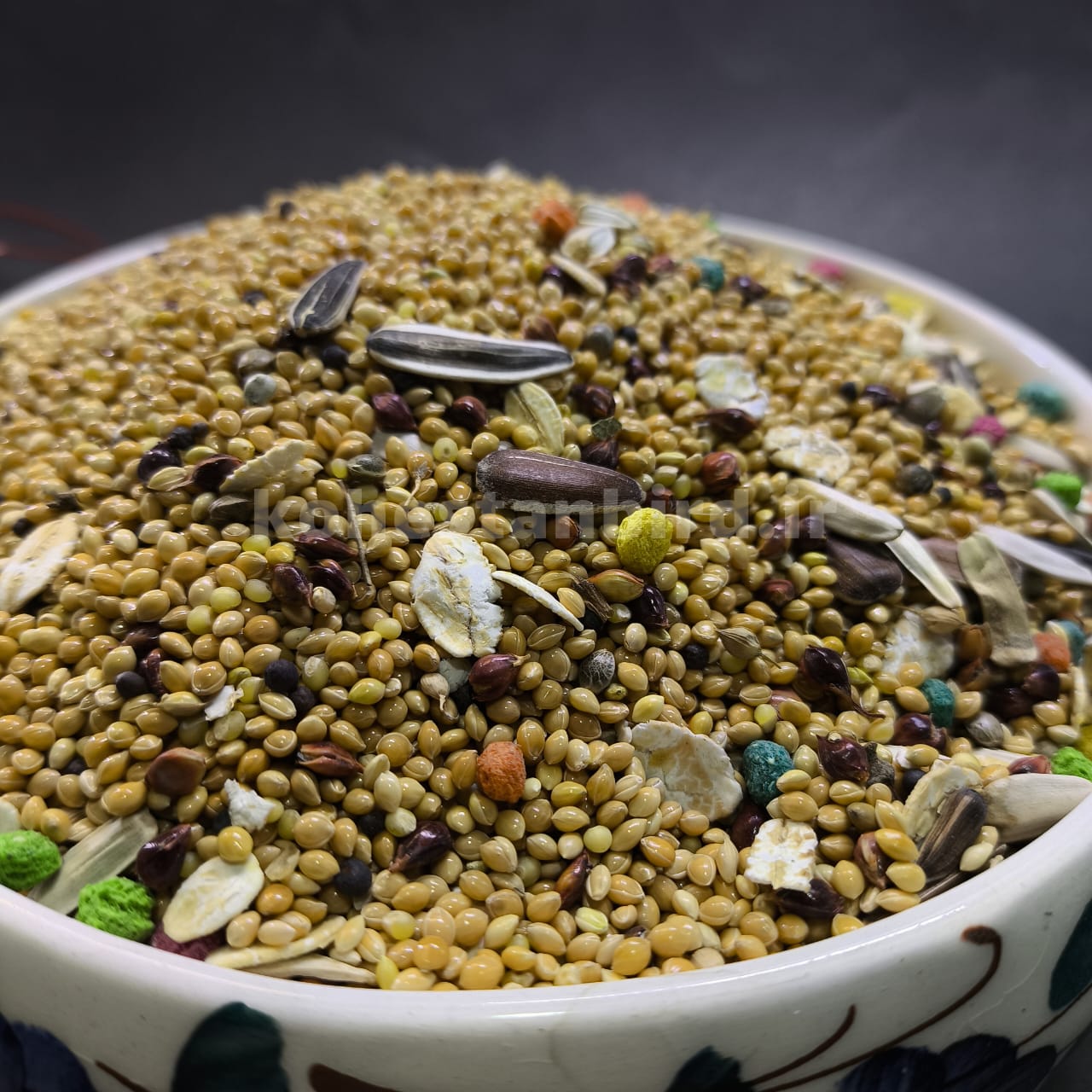 مخلوط معمولی طوطی