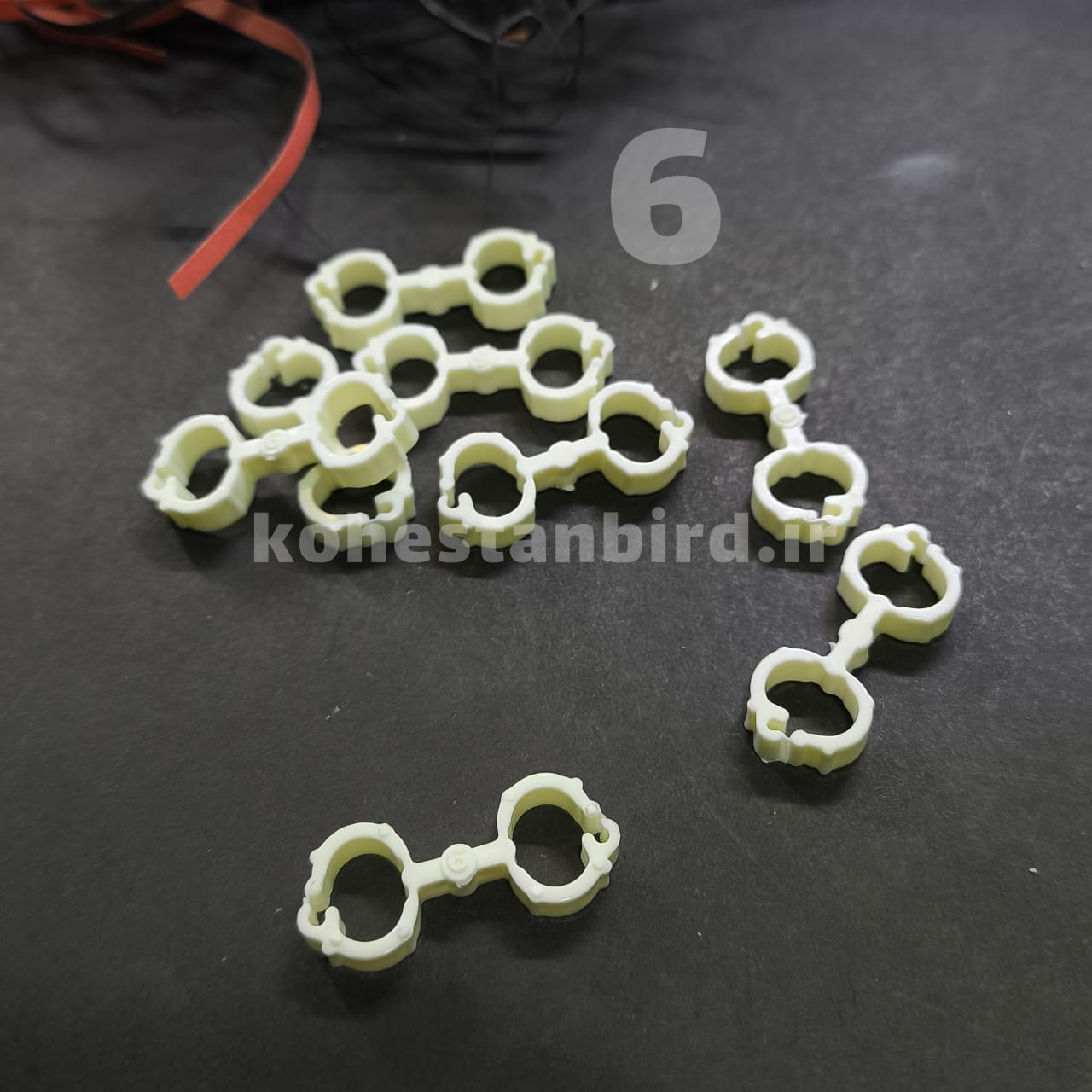 آتل پای پرنده سایز 6