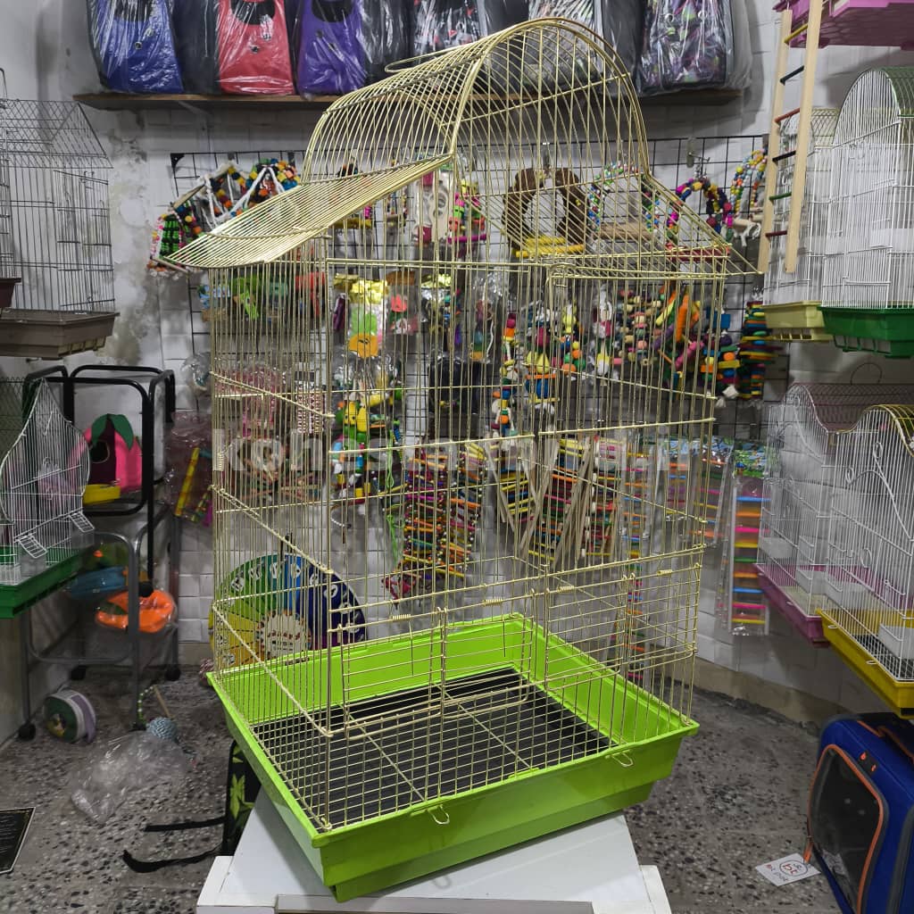 کد ۱۵۱ پلاس طلایی