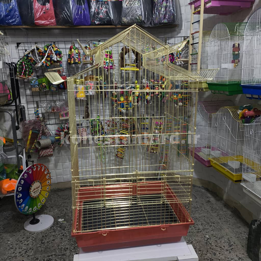 کد 4009 پلاس طلایی