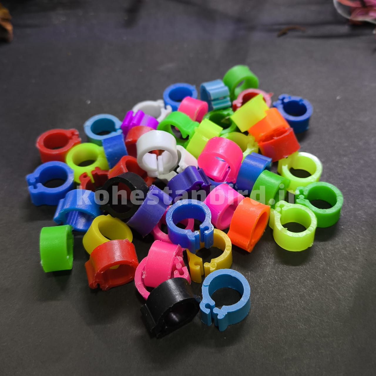حلقه چفتی کوچک