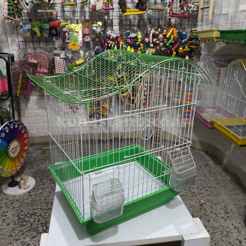 کد ۲ حمل پرنده