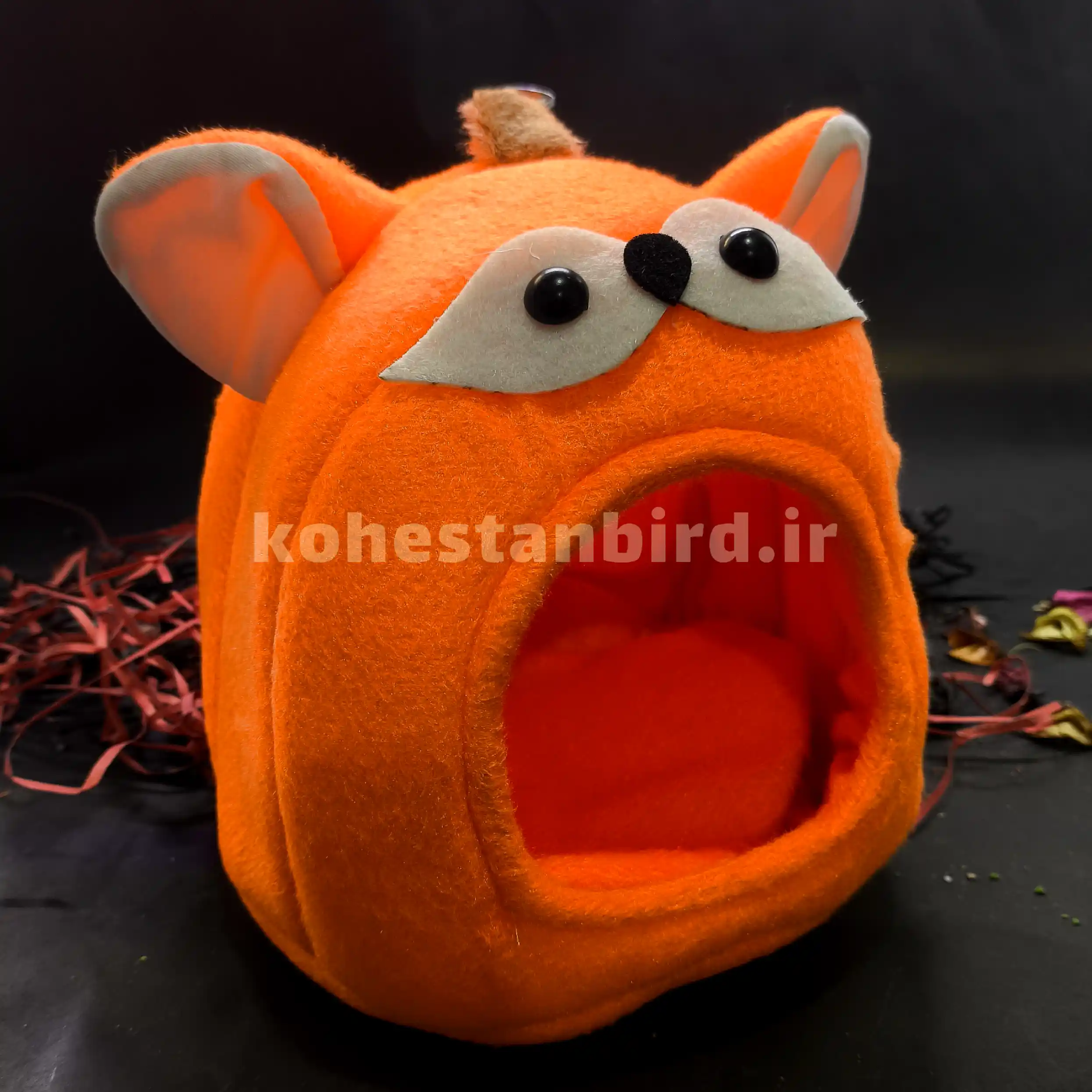 مخفیگاه گربه