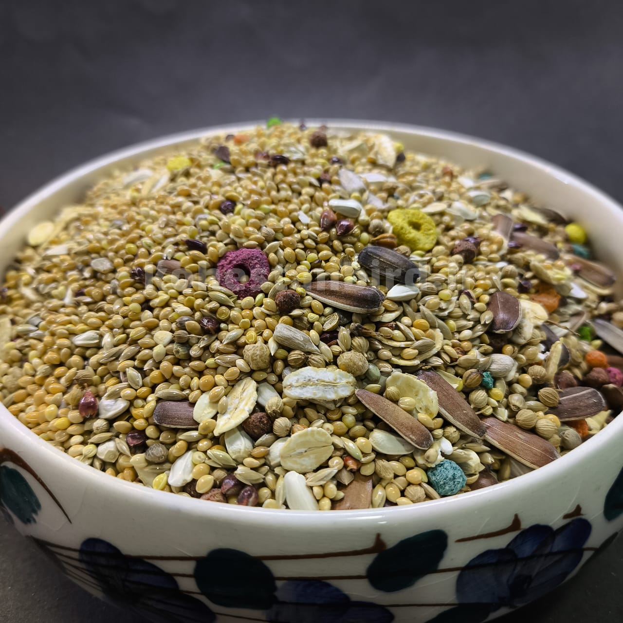 مخلوط ویژه طوطی