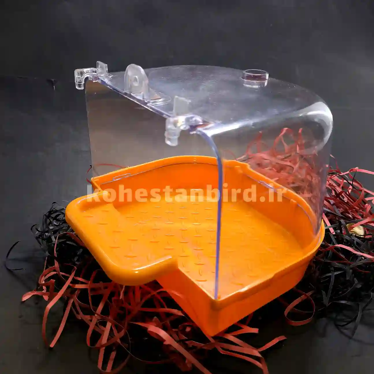 وان حمام پرنده جاوا